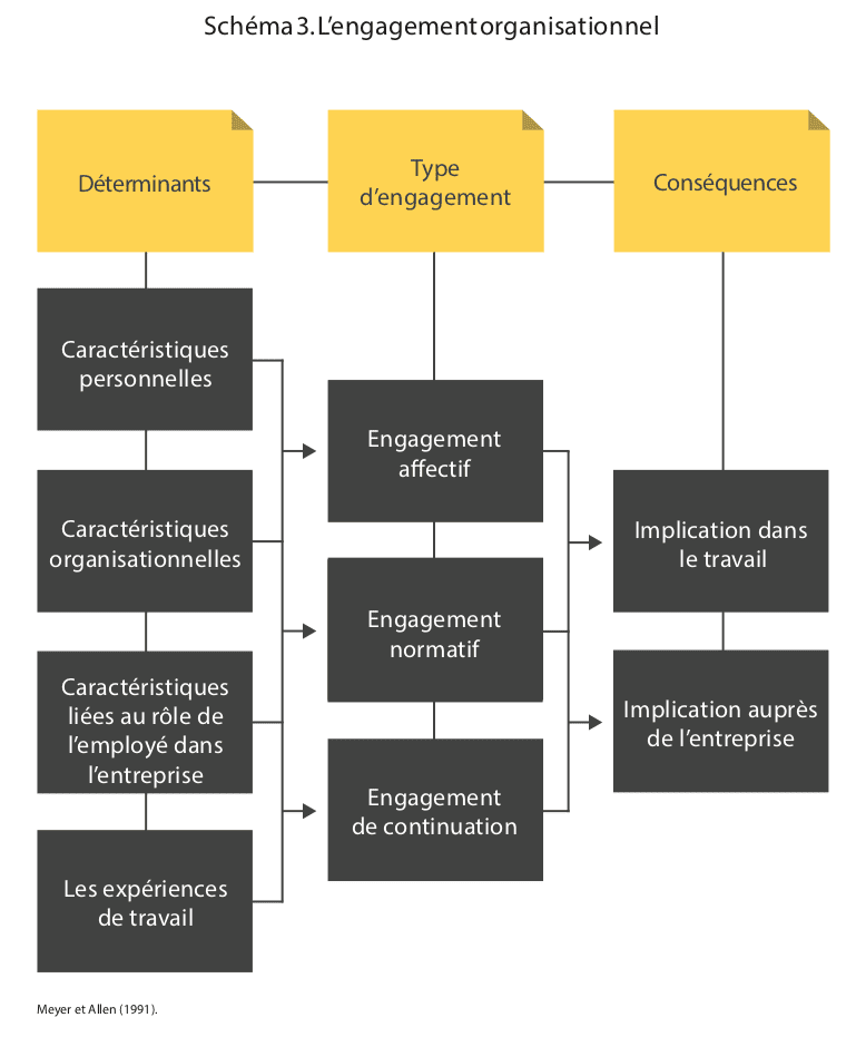 découvrez l'importance des qualités humaines dans le milieu professionnel et comment elles favorisent un environnement de travail harmonieux et productif.