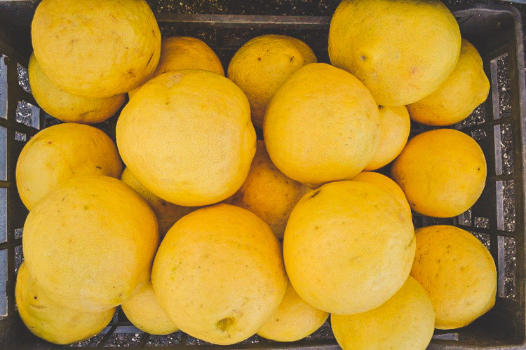 visite côte amalfitaine énormes citrons sorrento