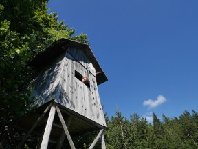 slovénie roadtrip cabane dans les arbres nichoir
