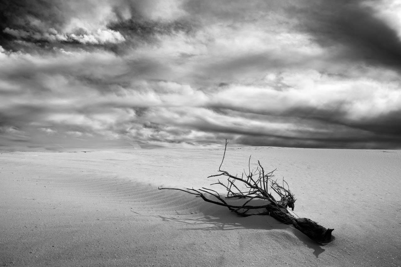 découvrez comment la solitude peut devenir un véritable atout pour votre épanouissement personnel, en favorisant la créativité, l’autonomie et le bien-être au quotidien.