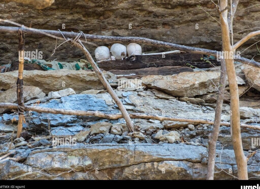 Tsingy de Bemaraha: un trésor naturel transformé en levier économique