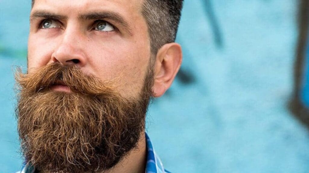 Van Dyke : La barbe qui fait sensation dans le monde des affaires